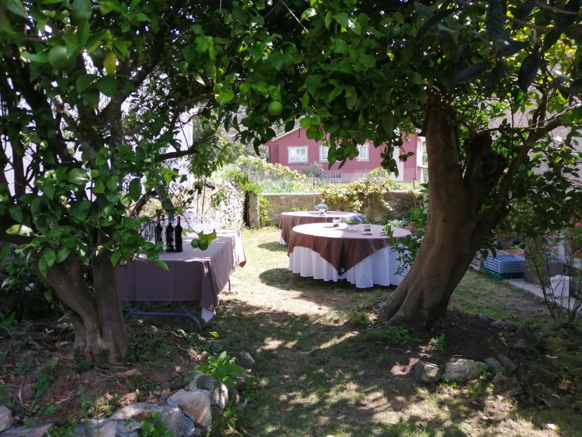 O Cruceiro Guest House Valmaior Exterior photo